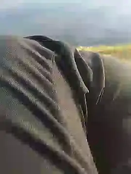 Snapshot of hexsmith96 chatting on December 18, 2:17 pm hexsmith96 online show from December 18, 2:17 pm