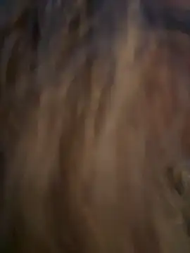 Lombada online show from November 13, 4:17 pm