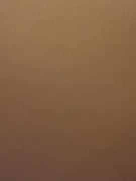 Snapshot of EvaRush chatting on February 16, 8:11 pm EvaRush online show from February 16, 8:11 pm