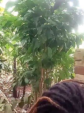 Black juicy24 online show from January 26, 12:01 pm