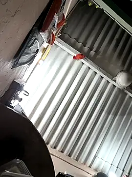 Snapshot of arppyyyxx chatting on October 22, 7:35 pm arppyyyxx online show from October 22, 7:35 pm