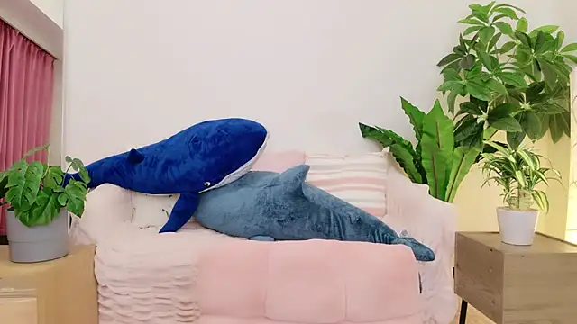 cohaku 329 online show from January 9, 1:13 pm