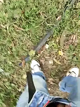 C vas  online show from March 3, 9:15 pm