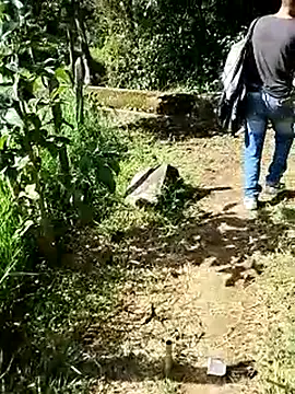 C vas  online show from March 16, 8:32 pm