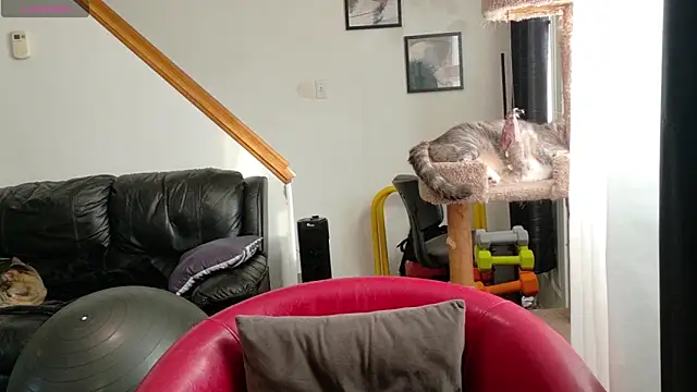 Thekodyy online show from September 17, 12:40 pm