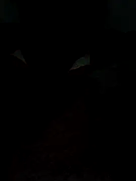 catreena online show from February 9, 7:29 pm