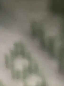 Estefanii- online show from December 16, 1:32 pm