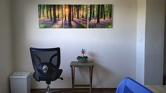 Harry Boldt online show from November 10, 12:15 pm