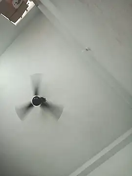 pintuS40 online show from November 6, 3:07 am