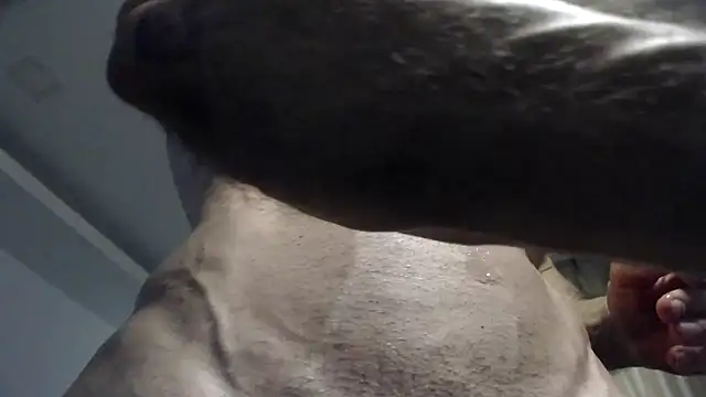 flexforyou online show from October 23, 7:18 am