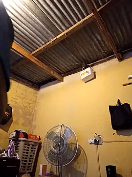 palaza11 online show from December 2, 9:25 am