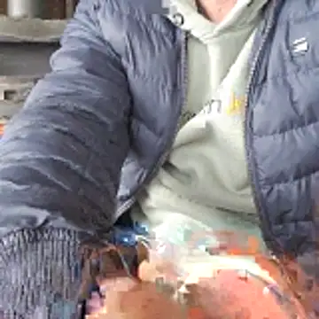 Snapshot of Lumpi1988A chatting on February 19, 11:39 am Lumpi1988A online show from February 19, 11:39 am