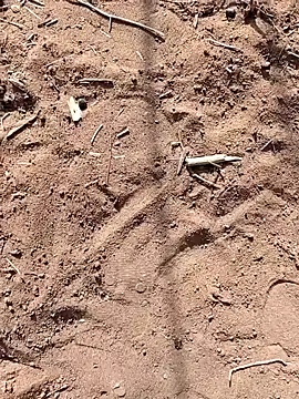 Snapshot of paugrande453 chatting on September 24, 10:51 am paugrande453 online show from September 24, 10:51 am