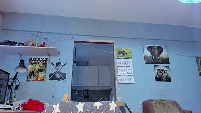 Snapshot of teddy_alan chatting on January 26, 11:28 am teddy alan online show from January 26, 11:28 am