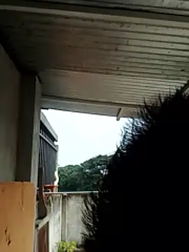 luchoarr online show from December 21, 1:07 pm