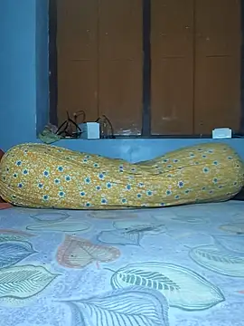 Snapshot of IndianRima chatting on November 25, 6:19 pm IndianRima online show from November 25, 6:19 pm