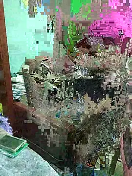 ShelfyOfferer online show from May 29, 1:36 am