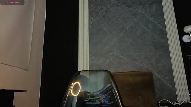 Snapshot of YummyDuooo chatting on November 24, 11:54 am YummyDuooo online show from November 24, 11:54 am