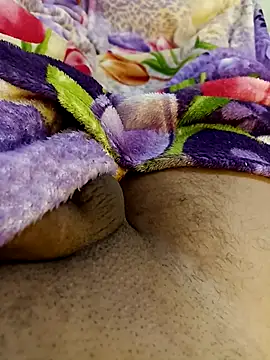 bengala223 online show from November 24, 12:05 pm