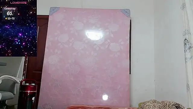 baoer-558 online show from December 18, 6:46 pm