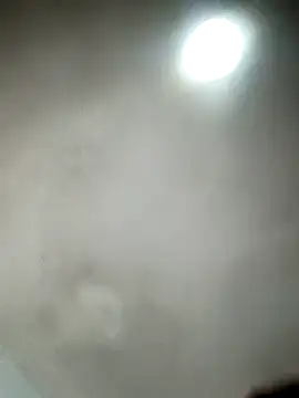 Snapshot of _violetta_- chatting on March 21, 1:13 am violetta - online show from March 21, 1:13 am