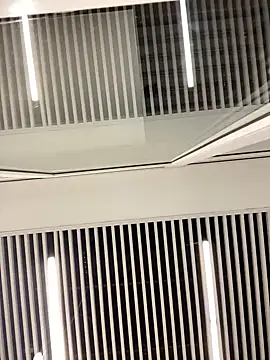 Snapshot of SuzieMurray chatting on February 12, 8:27 am SuzieMurray online show from February 12, 8:27 am