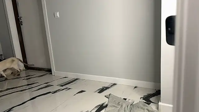 elisa moon online show from December 23, 5:06 am