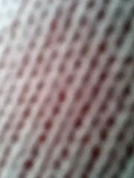 Gardener of Illusions online show from October 31, 10:27 am