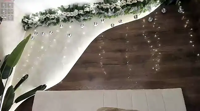 Morgan Hilll  online show from December 15, 4:37 pm