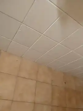 moder066 online show from December 11, 7:46 pm