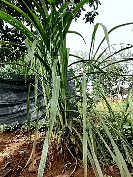 Betty20zx online show from September 13, 1:16 am