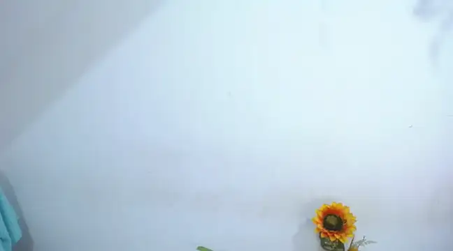 diamonmeli online show from January 14, 3:57 pm