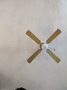 Snapshot of FreakySag_8888 chatting on March 10, 2:06 am FreakySag 8888 online show from March 10, 2:06 am