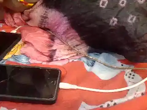 Snapshot of naina-80 chatting on January 13, 7:43 am naina-80 online show from January 13, 7:43 am