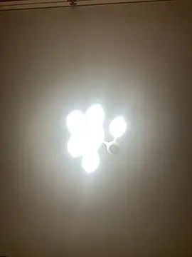 Janet Welder online show from December 2, 6:09 am