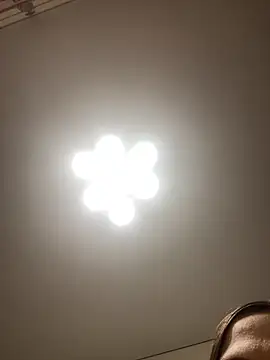 Janet Welder online show from November 16, 12:05 am