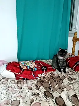 Snapshot of sama0012 chatting on February 19, 11:14 pm sama0012 online show from February 19, 11:14 pm