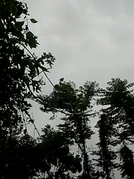 kumaricapalsex2 online show from January 27, 4:20 am