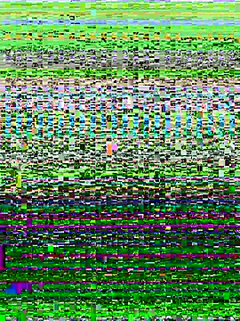 ahross online show from October 13, 9:53 am