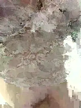 ahross online show from January 14, 9:15 am