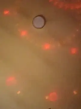 Ely Elenita online show from March 7, 9:27 pm