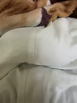 Snapshot of hamed-697 chatting on December 4, 9:57 pm hamed-697 online show from December 4, 9:57 pm