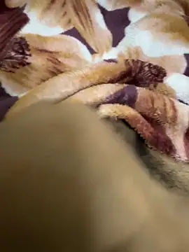 Snapshot of hamed-697 chatting on December 16, 8:48 pm hamed-697 online show from December 16, 8:48 pm