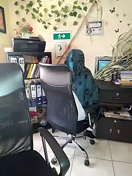 NAJWA-ARAB online show from December 24, 2:22 pm