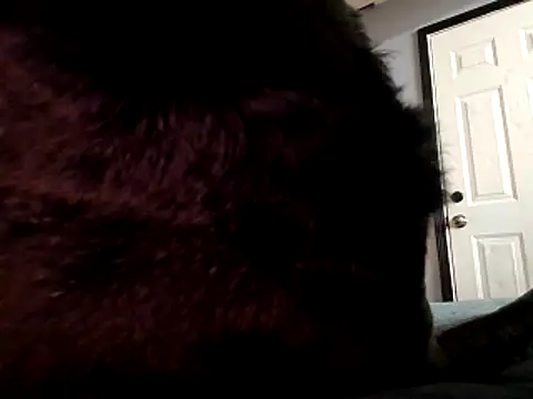 Snapshot of DevinToore chatting on October 29, 3:31 am DevinToore online show from October 29, 3:31 am