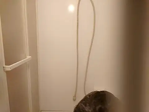 53kkkkkk online show from March 26, 2:22 pm