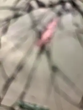 Snapshot of lescro95_ chatting on December 14, 3:28 pm lescro95 online show from December 14, 3:28 pm