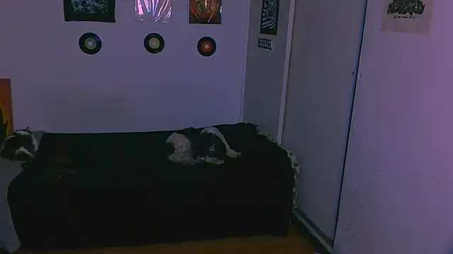 Snapshot of alex_one888 chatting on November 9, 11:03 pm alex one888 online show from November 9, 11:03 pm