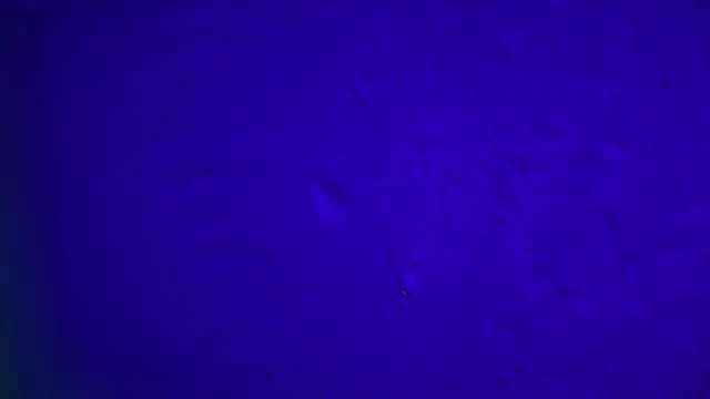 GymBoyVan online show from February 4, 4:07 am