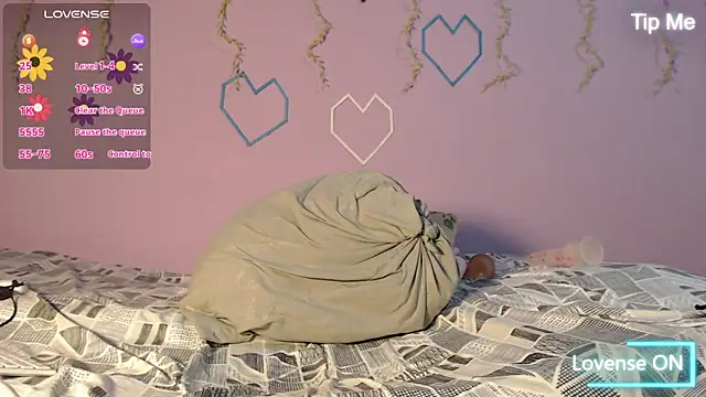 Dante Bear  online show from February 13, 11:17 am